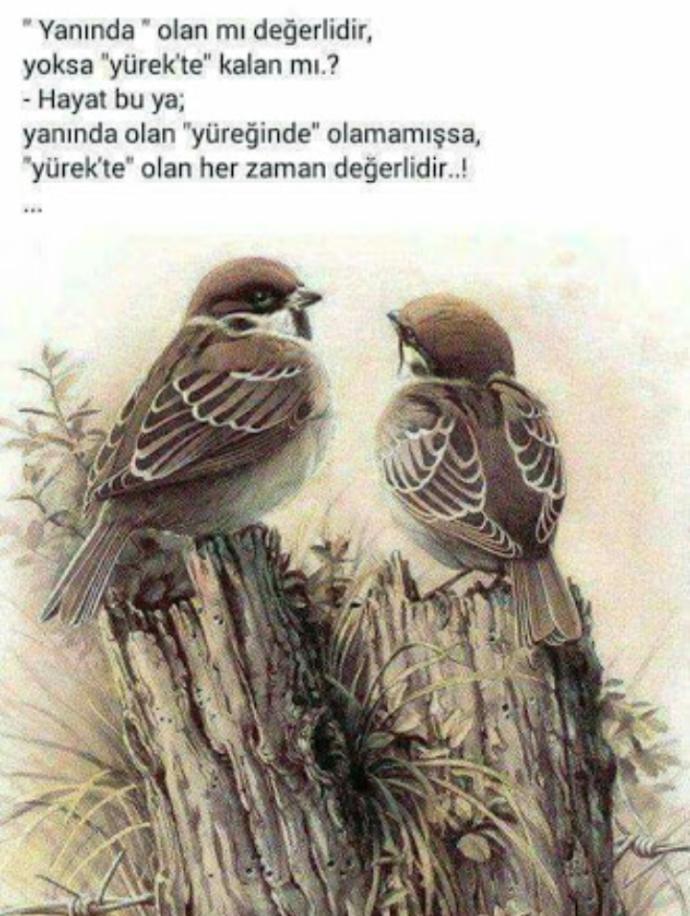 Yanında olan mı değerlidir, yoksa yürekte kalan mı?
