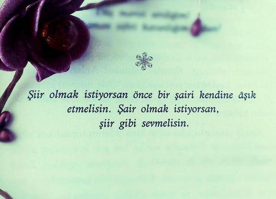 Siz şiir misiniz şair mi  :) ?