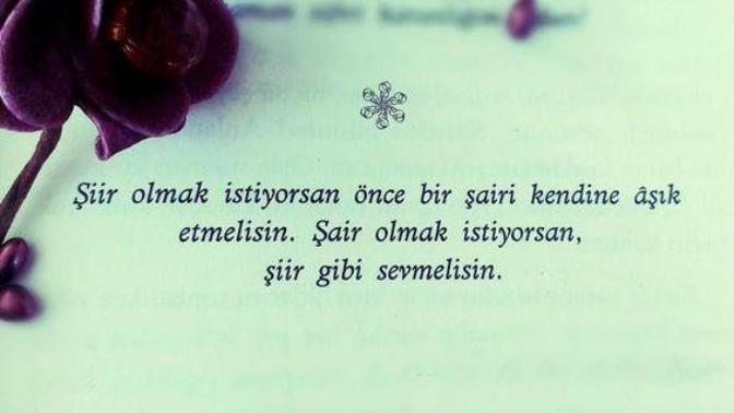 Siz şiir misiniz şair mi :) ?