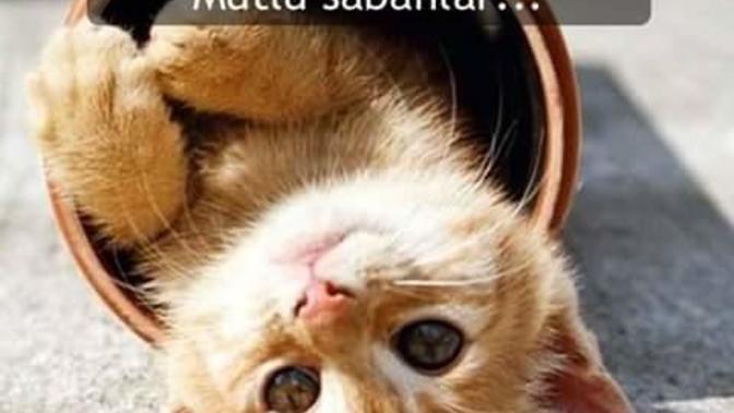 Günaydın😊 Bu sabah güne nasıl başladınız?
