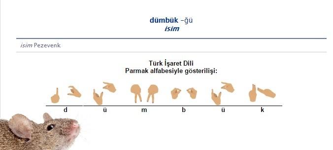 "Dümbük" kelimesinin anlamını biliyor muydunuz?