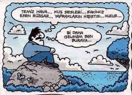 huzurlu bir hayat mı aksiyon dolu bir hayatmı ?
