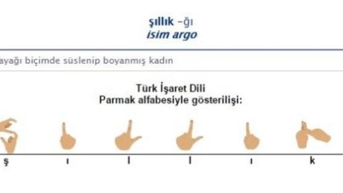 "Şıllık" kelimesinin anlamını biliyor muydunuz?