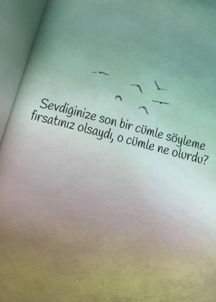 Sevdiğinize son bir cümle söyleme fırsatınız olsaydı,o cümle ne olurdu?