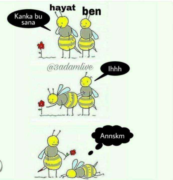 Hayatla aran nasıl? 