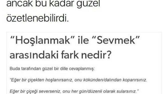 "Hoşlanmak" ile "sevmek" arasındaki fark nedir?
