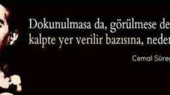 Bir insan hiç görmediği dokunmadığı kokusunu almadığı sesini duymadığı birine aşık olabilirmi?