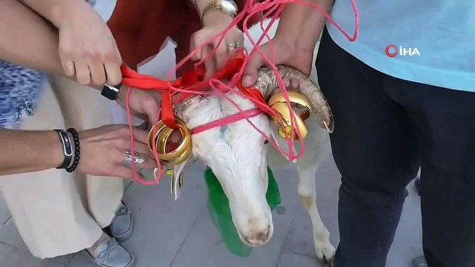 En eski ve devam eden adet küçükbaş hayvan hediye etmek.