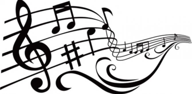 Sizce müzik konusunda eğitim mi yoksa doğuştan gelen yetenek mi önemli ?
