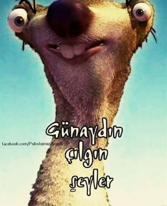 Günaydın çılgın şeyler😊 Nasıl uyandınız yeni haftaya😇🌹?