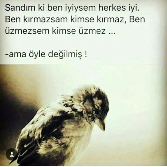 Sizinde hiç değer verip karşılığını alamadığınız oldu mu ??
