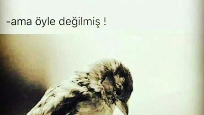 Sizin de hiç değer verip karşılığını alamadığınız oldu mu?