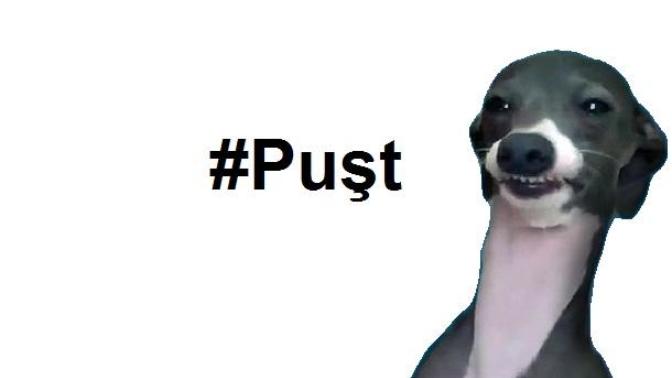 Puşt ne demek?