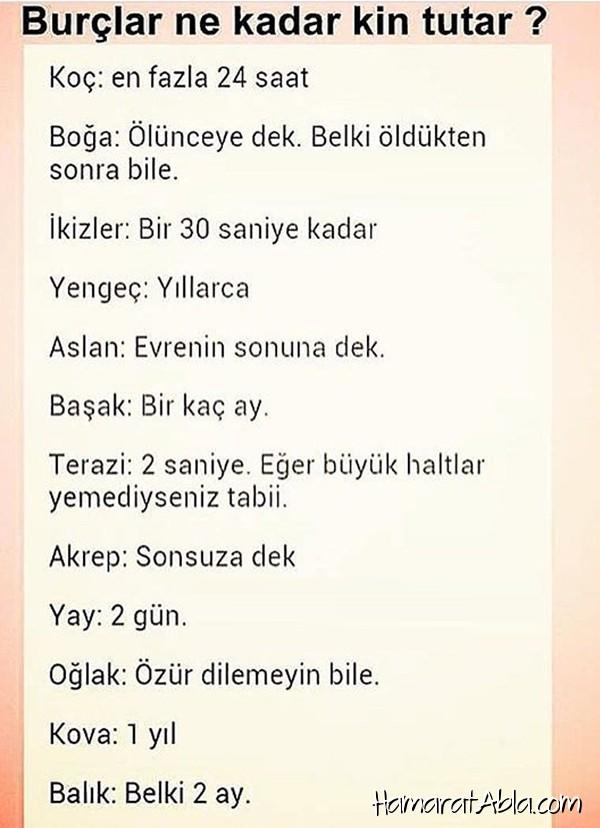 BuRçLaR HaKkInDa :) Ne Kadar Kin Tutarsınız?