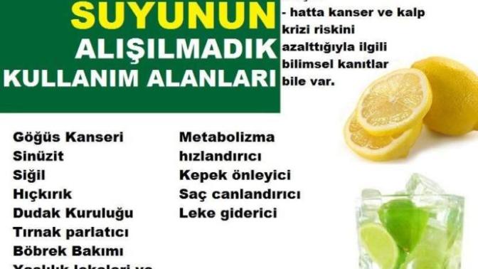 Limonun deneyipte gördünüz faydalari nelerdir?