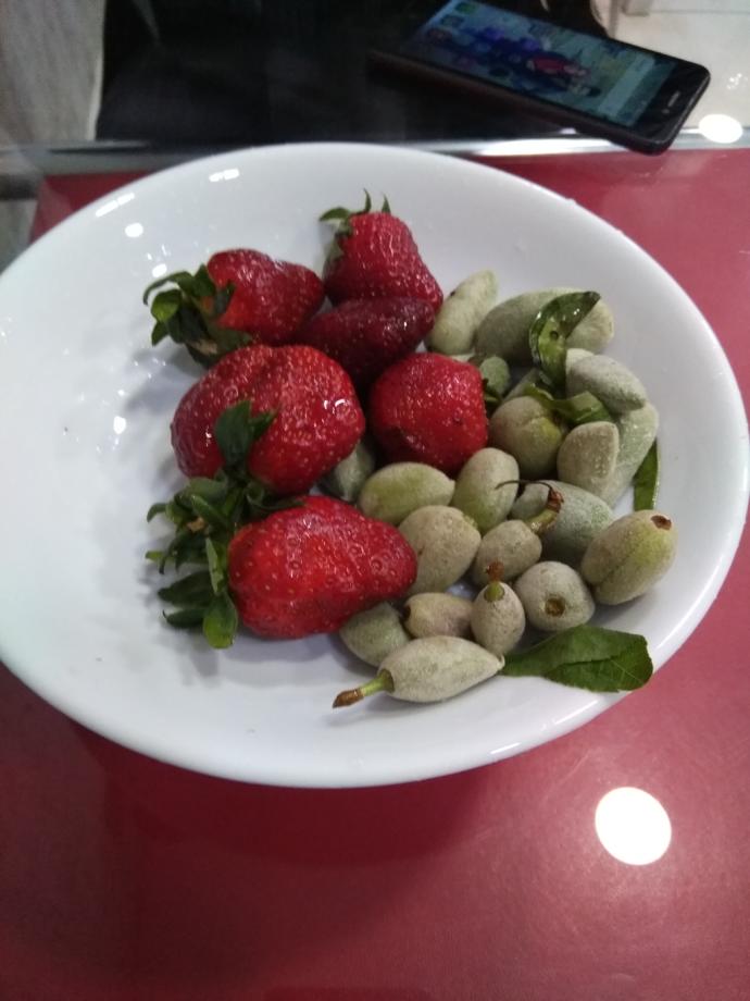 Çilek çağla erik ozledinizmi benle yemek istiyen var mı ?