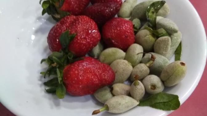Çilek çağla erik ozledinizmi benle yemek istiyen var mı?