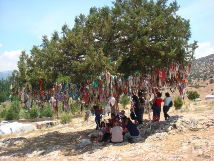 Ağaca Çaput Bağlayınca Dileğimiz Kabul Olurmu?