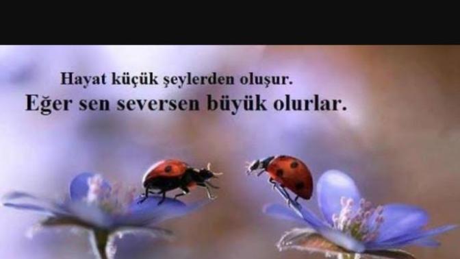 Bir insan güzel bulduğunu mu sever, yoksa sevdiğini mi güzel bulur?