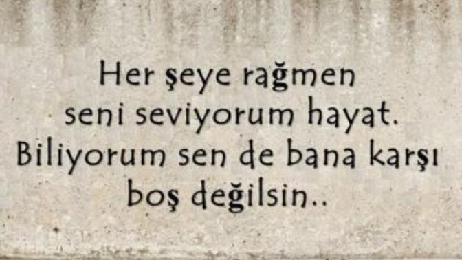 İyi akşamlar. Hayat herşeye rağmen yaşamaya değer mi?