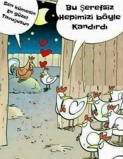ERKEKLER HAREM KURMAK ISTERMI?
