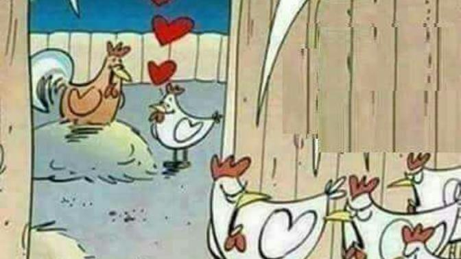 ERKEKLER HAREM KURMAK ISTERMI?