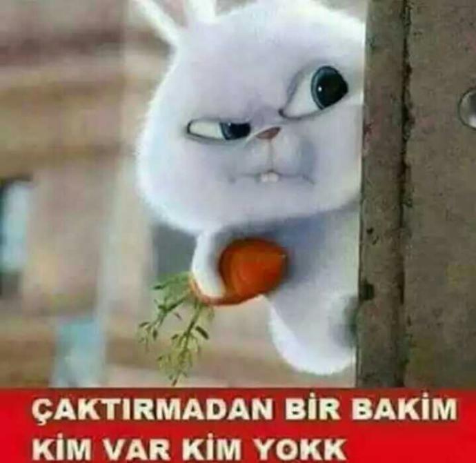 Sen nerden katılıyorsun???