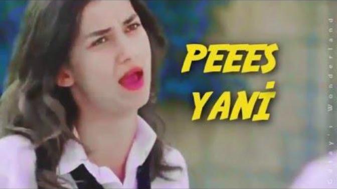 Kırgın Çiçekler'de en sevdiğiniz karakter hangisi?