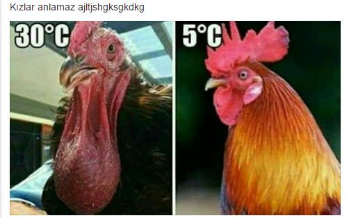 bu sadece bizim anlayabileceğimiz bir şey kızlar anlamaz beyler haksız mıyım 😂😂😂 ?