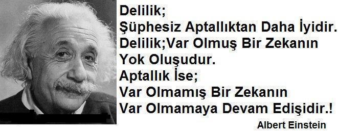 Delilik mi aptallıktan daha iyidir, aptallık mı delilikten daha iyidir? 