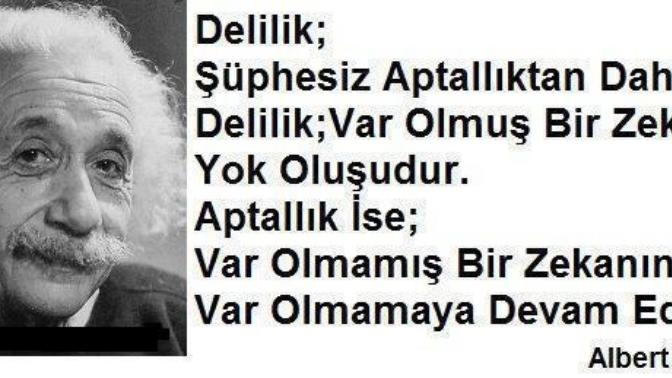Delilik mi aptallıktan daha iyidir, aptallık mı delilikten daha iyidir?