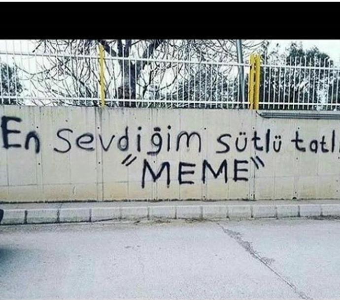 En sevdiginiz sütlü  tatlı hangisi?