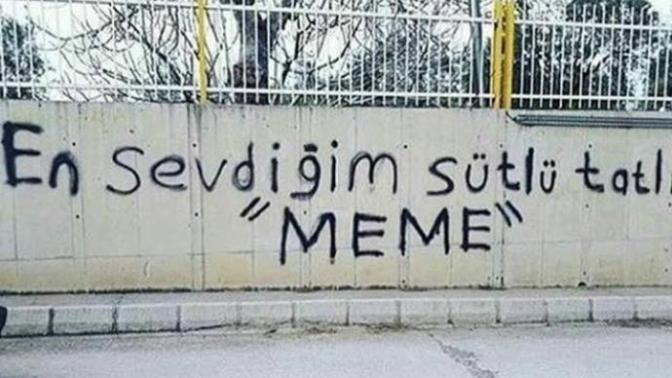 En sevdiginiz sütlü tatlı hangisi?