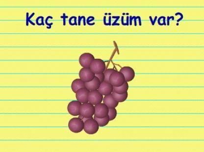 Sizce yaşadığımız veya yaşayamadığımız toplamda yaratılan kaç tane alem boyut vardır?