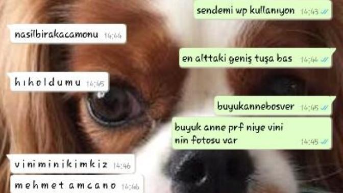 Twitter'a sahip çıkalım olur mu? ? 😂?