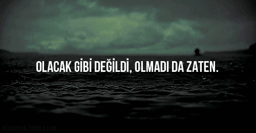 Aylarca olmayacak bir hayal kurup hiç hak etmeyecek birisine beslediğiniz duyguların anlamsız olduğunu anladığında ne yaparsın?