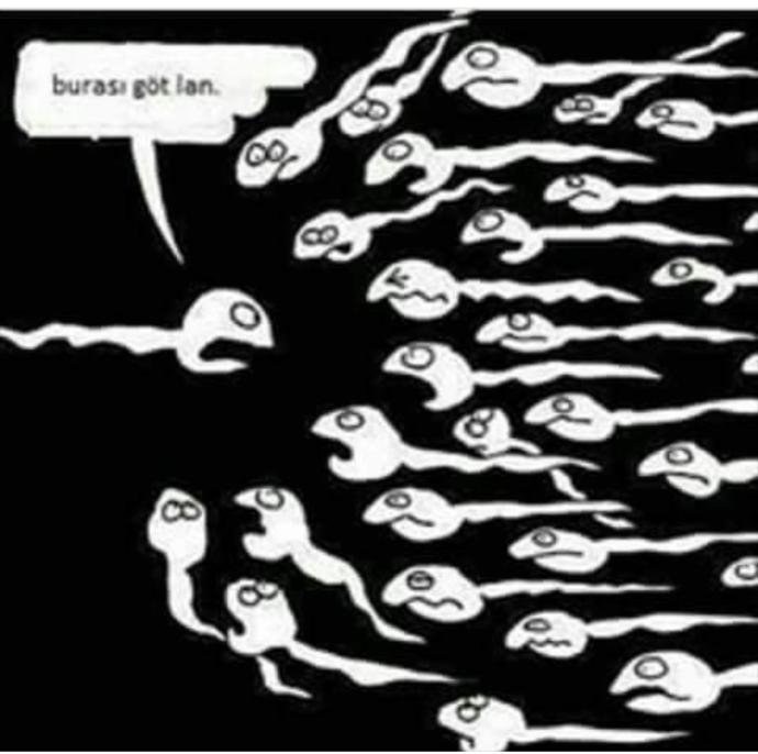 Beğendiğiniz karikatürler var mı?