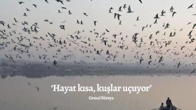 Eğer bir yıl içinde öleceğini bilseydin, şu an yaşamakta olduğun hayatta neyi değiştirirdin?