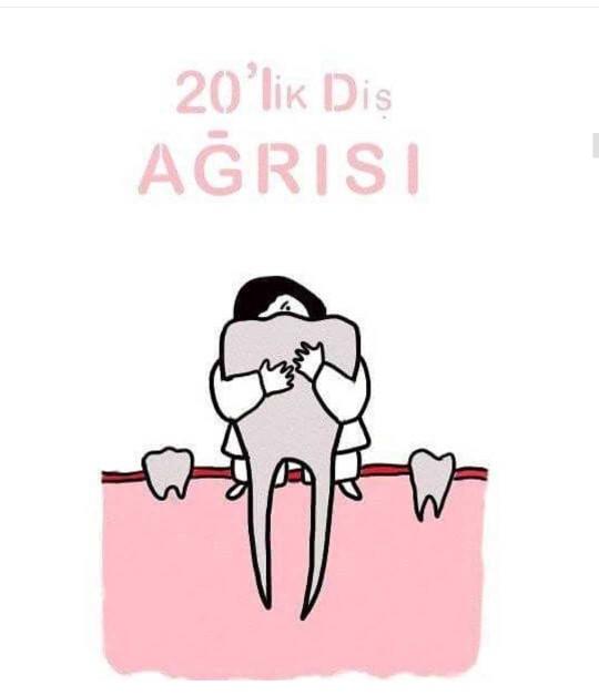 #20 lik dişini aldıran var mı? 🐰?