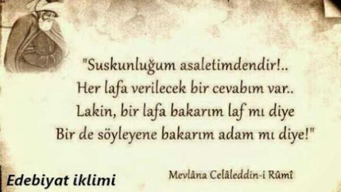 Mevlananin"Bir lafa bakarim'lafmi diye, Birde soyleyene bakarim adammi diye"cumlesini dogru bulyormusunuz?