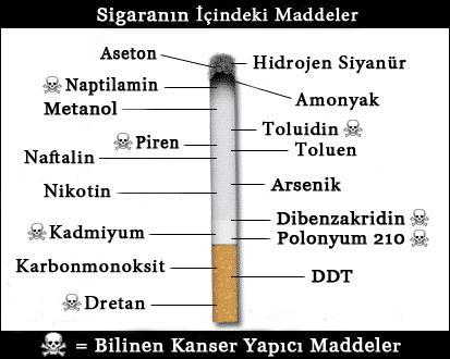 Sigara zararlı olmasına rağmen, hala neden üretiliyor?