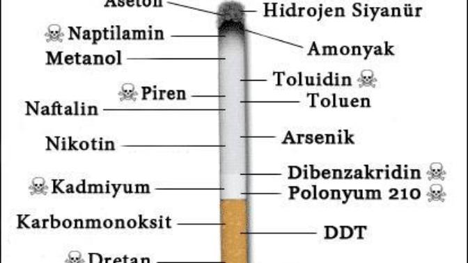 Sigara zararlı olmasına rağmen, hala neden üretiliyor?