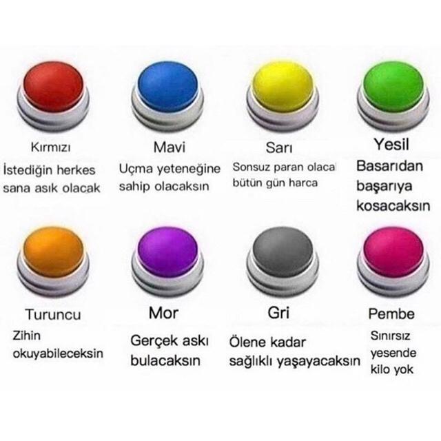 Hangi butonu seçerdin ve neden?