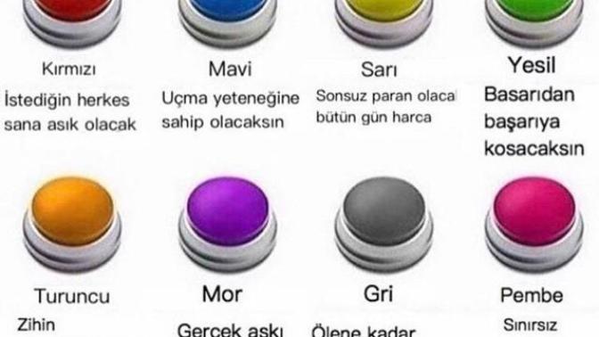 Hangi butonu seçerdin ve neden?