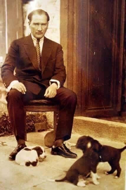 Evde hayvan beslemek etik midir?