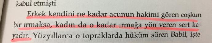 Günümüzde kadın düşmanı erkeklerin çoğaldığını düşünüyor musunuz?