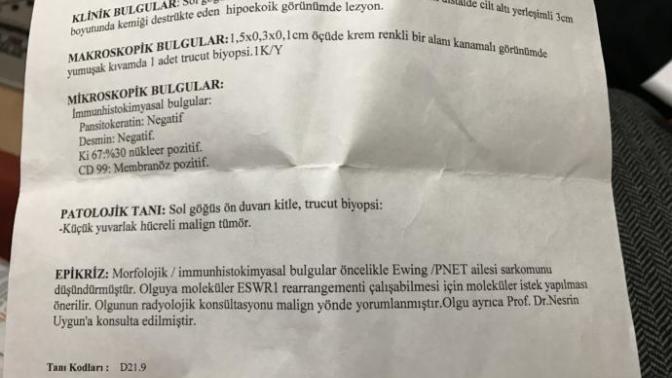Arkadaşlar burda ne demek istiyo?