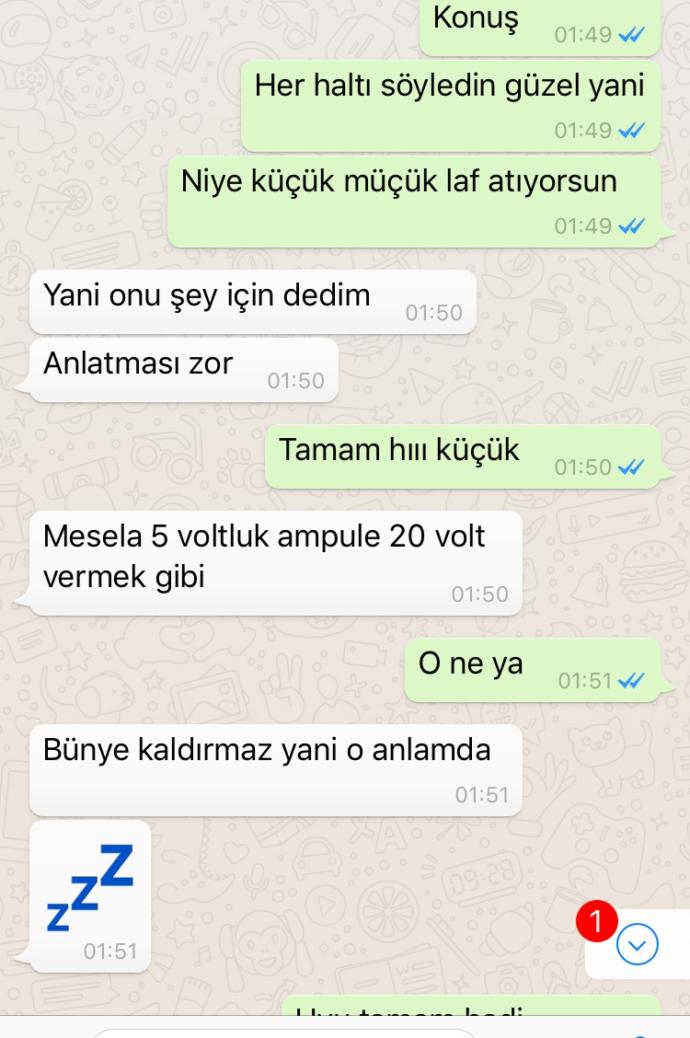 Bana küçük dedi sonra böyle şeyler yazdı resimli ?
