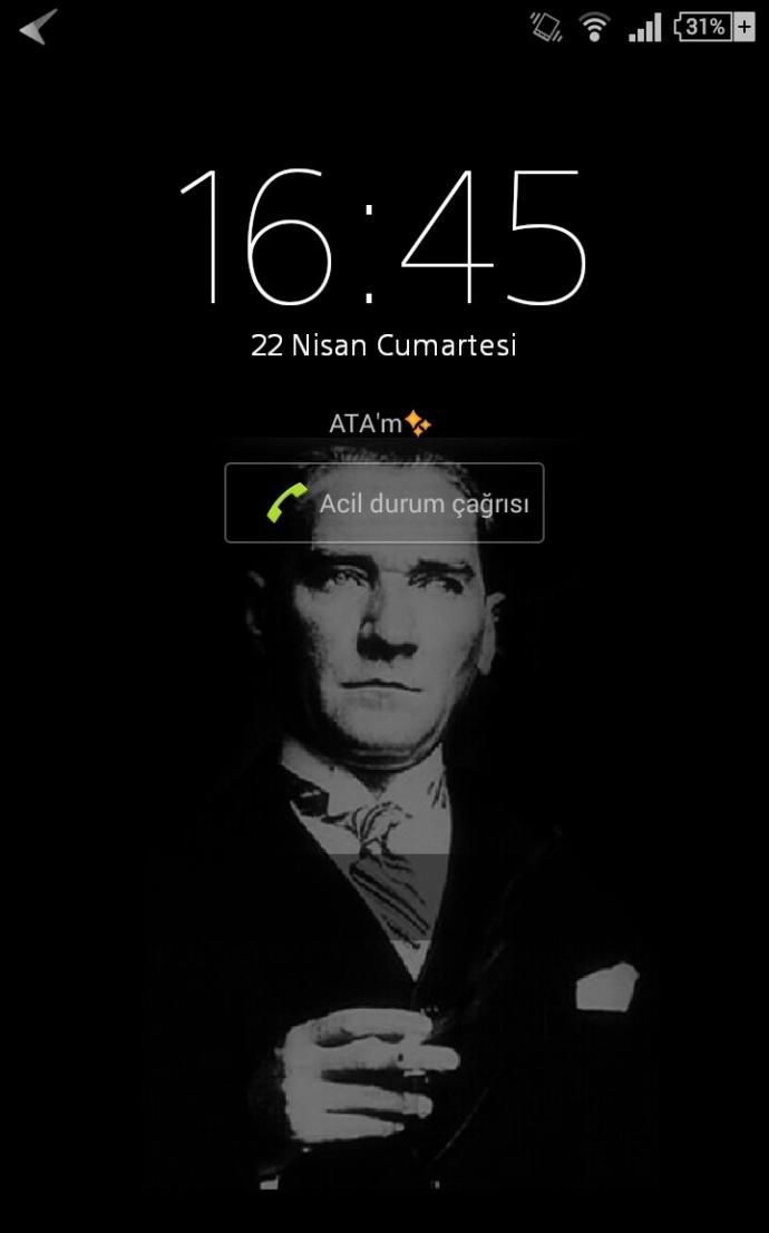 Telefonunuzun duvar kağıdında ya da kilit ekranında ne resmi var?