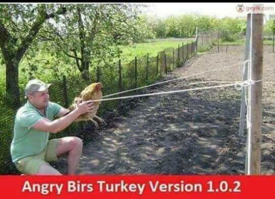 Angry birds görseldeki Türkiye versiyonu gibi dahil hiç oynadınız mı 😂 ?